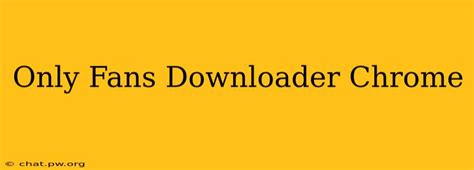 only fans downloader chrome|OF Downloader